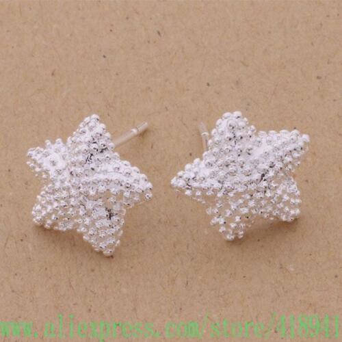 Silver Plated earrings , Silver Plated fashion jewelry , five-pointed star inlaid stones /ebaamsha bccajtja AE142