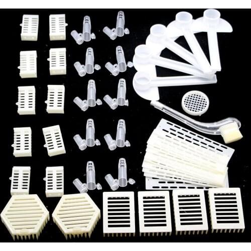 1SET Queen Rearing Kit Honey Bee Feeder Plastic Imprison Introduction Virgin King Needle Type Catcher Beekeeping Tools Supplies