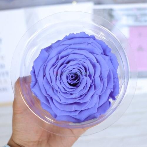 1pcs Imported Preserved Fresh Flower Rose Amor Giant 10cm Rose Heart-Shaped Rose 7-8cm Small Giant Ecuador