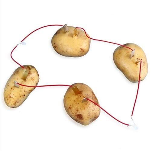 1 Set Children Bio Energy Science Kit Potato Fruit Supply Electricity Experiments Kids Student Learining Science Educational Toy