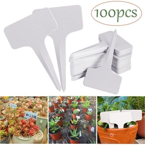 100PCS Plant Tag T-type Plastic Labels Nursery Garden Flower Classification Sorting Sign Tag Mark Garden Decoration Ornaments