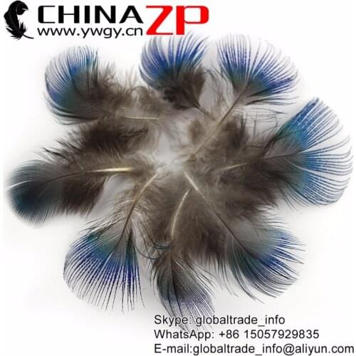 CHINAZP 200pcs/lot Size 5-8cm Beautiful Jewelry Accessories Natural Iridescent BLUE Small Peacock Plumage Loose Feathers