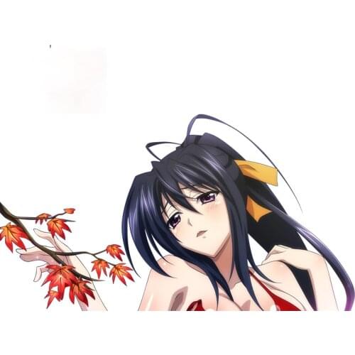 Himejima Akeno Highschool DxD Car Stickers Decal Air Conditioner Cartoon Anime Waterproof Graphics Apply To Car Window Laptop