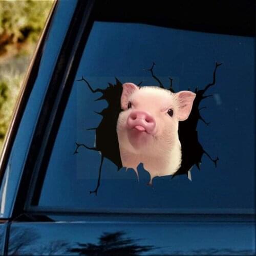 Creativity Car Sticker 30*30cm Pig Crack Sticker Car Rear Decals Automobile Body Sticker Stickers Car Funny For Auto Colorf C2S4