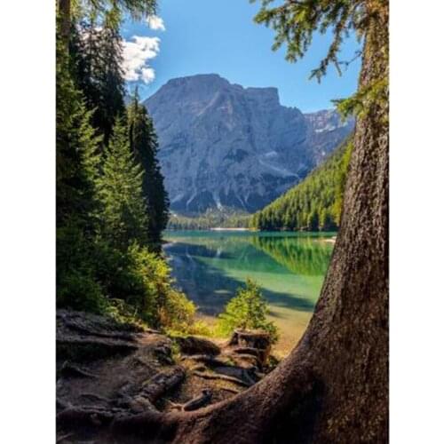 5D DIY Diamond Painting Square/Round Diamond Riverside Big Tree Scenery Picture Landscape Painting Cross Stitch Art Gift WG3176