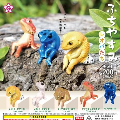 Original genuine capsule toys reptile Chow Chow lizard chameleon Salamander Blue Dart Frog eyelid geckos gashapon figures