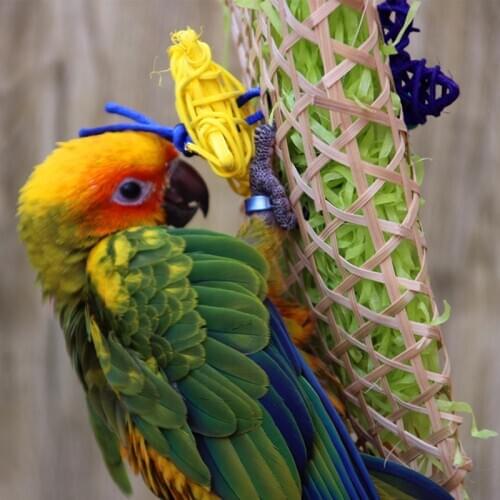 Creative Bamboo Pet Bird Parrot Swing Cage Toy Foraging Toys Chew Bites For Parakeet Cockatiel Swing Cages Playing Toy