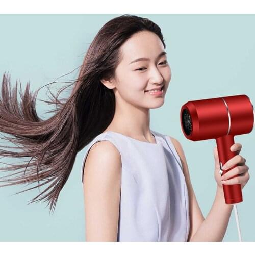 Ionic Hair Dryer Professional Hair Blow Dryer Hair Care Fast Drying Lightweight Travel for Women TN88