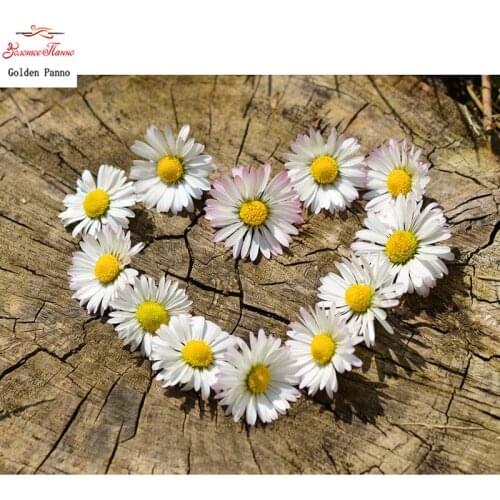 5D DIY full square diamond painting mosaic white Small daisy diamond rhinestone embroidery cross stitch display home decor