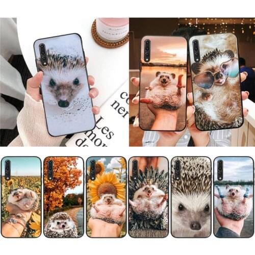 XSPING Cute Hedgehog Phone Case For Xiaomi 9 10 11 PRO LITE Redmi NOTE 7 8 9 A PRO K20 30 PRO