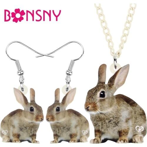 Bonsny Acrylic Easter Cute Brown Rabbit Hare Animal Bunny Jewelry Sets Earrings Necklace For Women Kids Gifts Accessories Charms