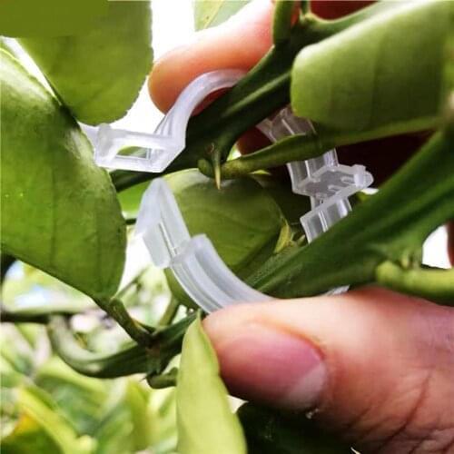 50/100pcs Plastic Plant Clips Supports Connects Reusable Protection Grafting Fixing Tool Gardening Supplies for Vegetable Tomato
