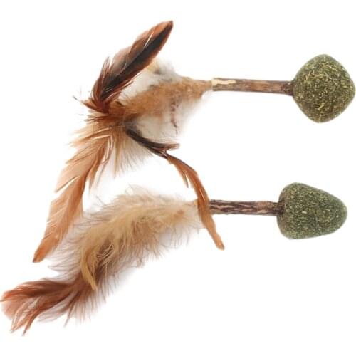 2pcs Cat Catnip Toy Molar Teeth Cleaning Soft Feather Interactive Toy Cat Snacks Catnip Ball Cat Dog Toy Pet New