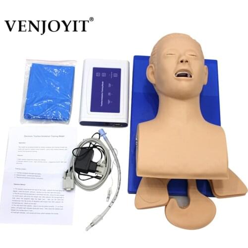 Intubation Manikin Study Teaching Model Airway Management Trainer PVC With Teeth