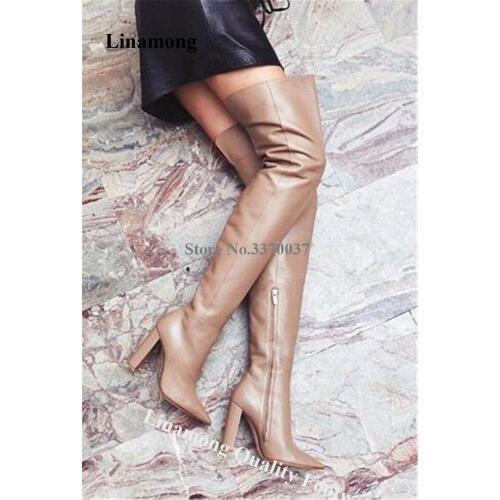 Linamong New Fashion Winter Women Pointed Toe Over Knee Chunky Heel Boots Slim Style Thigh Long Thick High Heel Boots Shoes