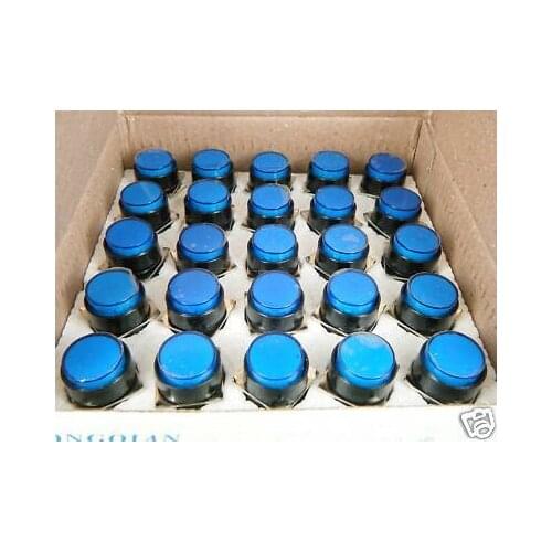 N/C N/O Momentary Blue Lighted Push Switch 12V B1 200p