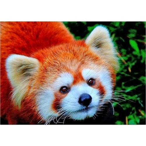 DIY Diamond Painting, Full Drill Crystal Embroidery Pictures Arts Craft for Home Wall Decoration Fox