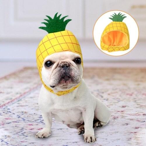 Fashion Dog Cowboy Hat Creative Pineapple Shape Dogs Cat Outdoor Hats Caps For Small Medium Dogs Cats Headwear Pet Accessories
