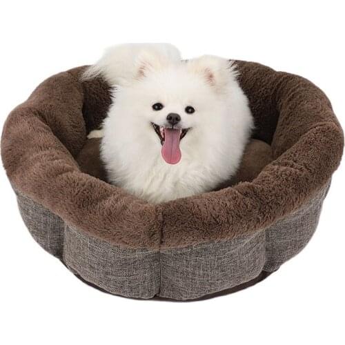 BeiYu Pet 