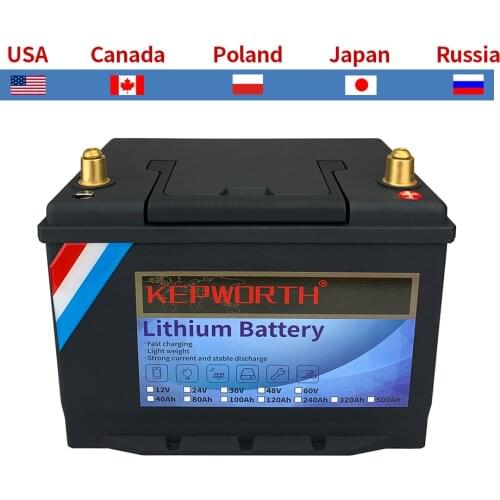 12V 24V 40 60 80 100 120 200Ah LiFePO4 Lithium Iron Phosphate Battery With BMS More 3000 Cycles For Golf Cart EV RV Solar Energy