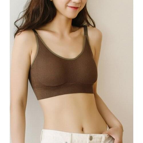 Korean Sports Bra Cute Little Bear Seamless Seamless Steel Ring Comfortable Ladies Underwear Running Shockproof Bra