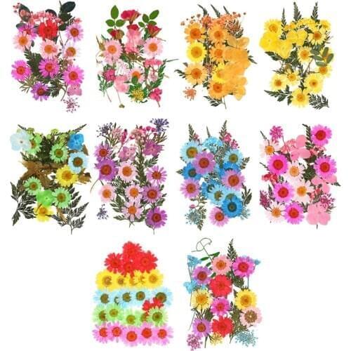 25 Pcs Dried Flowers UV Resin Natural Flower Sticker 3D Dry Beauty Decal Epoxy Mold DIY Filling Making Craft Jewelry Accessories