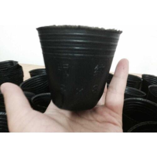 200pcs/lot,thin plastic seedling bag,garden bonsai planters container,8*8cm,free shipping,plant seed,mini flower nursery bag