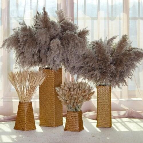 10pcs Pampas Grass Natural Dried Flowers Cheap Thing Outdoor Artificial Plant Supports DIY Home Decor Wedding Decoration Gazebos
