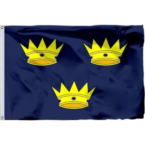 Ireland Munster State Flag 90x150cm 3x5ft 120g 100D Polyester Double Stitched High Quality Banner Ensign Free Shipping