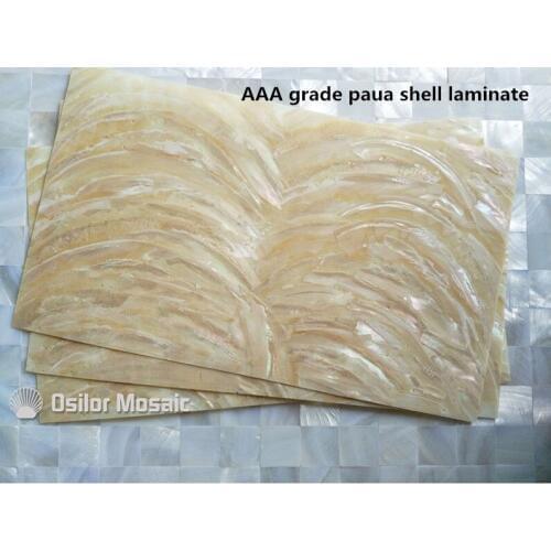 AAA grade natural surface paua shell laminate for musical instrument and furniture inlay