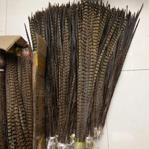 50 root sell beautiful pheasant feather multicoloured select 24-26 inch 60-65 cm wedding decorate