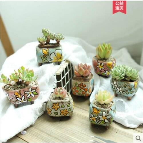 Korean Hand-Painted Fleshy Flowerpot Ceramic Control Type Creative Thumb Basin Pottery Breathable