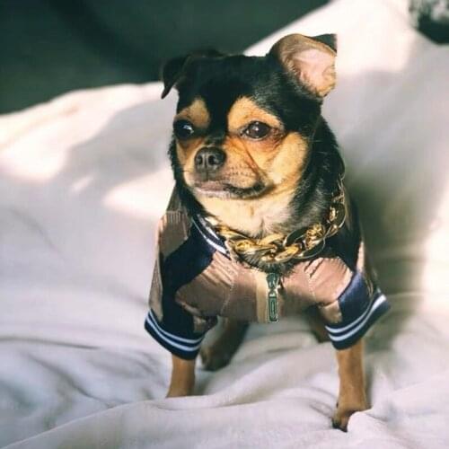 Fashion Pet Dog Coat Winter Warm Jacket Hoodie Sweater For Small Medium Dogs Pug Schnauzer French Bulldog Dropshipping LXC05