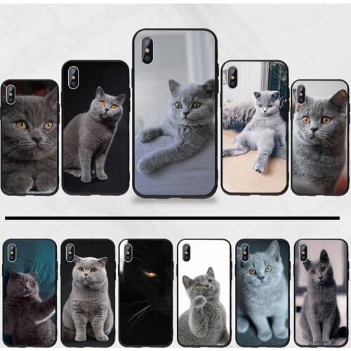 British shorthair cat Phone Case for iPhone 11 12 mini pro XS MAX 8 7 6 6S Plus X 5S SE 2020 XR