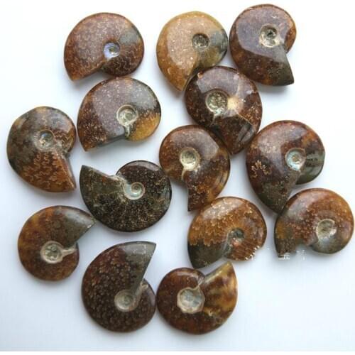 Natural jade snail conch pendant ornaments spotted snail biofossil mineral specimens diy pendant jewelry accessories