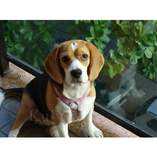 Animal Dog Beagle Printed Canvas 11CT Cross-Stitch Set Embroidery DMC Threads Knitting Craft work Sewing For Adults Floss