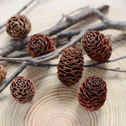 20pcs/3-4cm,Nature Real Dried Pineal fruit,Eternelle plant fruit DIY Gift box Decoration,Decorative flower material for Xmas