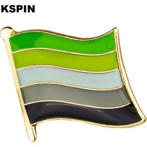 Aromantic Pride Flag Metal Badge Lapel Pins Brooch Jewelry Rozet in Badges Pin