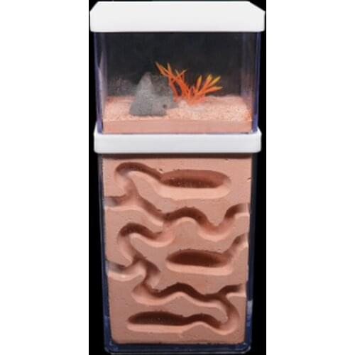 New Large Plaster Ant Farm Natural Ecological Big Ant Nest Insect Castle Workshop Pet Anthill Ant House with Feeding Area WY707