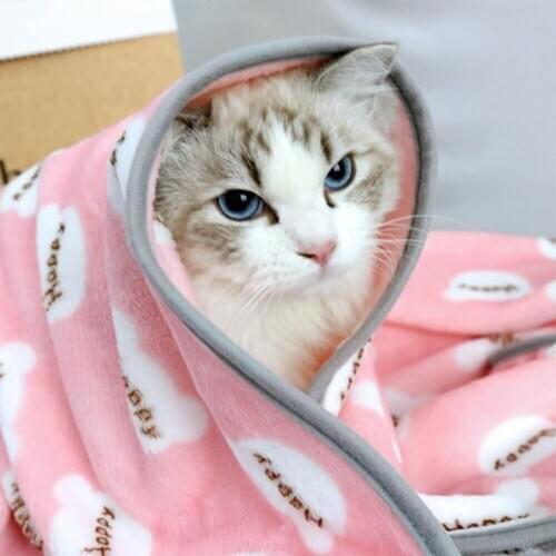 Pet Blanket Bed Mat Winter Warm Bath Towel Flannel Pet Blanket Cartoon Dog Cover Rug Kennel Cat Pad Keep Warm Sleeping Cover