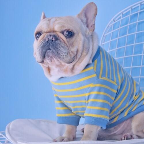 Tiger Dog Pet Clothing French Bulldog T-shirt Pure Cotton Blue Stripe Dog Clothes For Small Medium Corgi Teddy Dogs Puppy Outfit