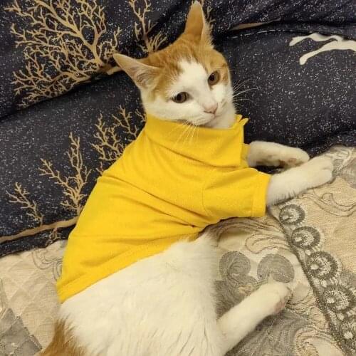 New Style Polo Shirt Spring Summer Cat Clothes Casual Pet Cat Shirts Vest Clothes for Small Dogs Kitten Kitty Costumes Clothing