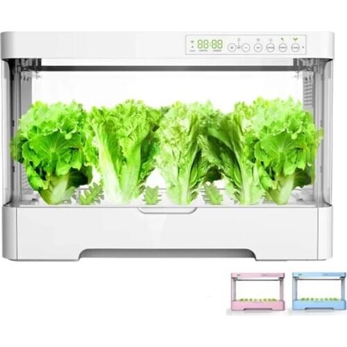 Oxygen Supply Electronic Water Cultivate Vegetable Seed Planting Enclosed Case Box Soilless Soil-Free Cultivation Equipment