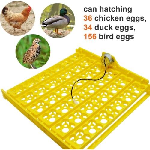 2021 New Egg Incubator Automatic 36 Plastic Bird Eggs Duck Chicken Eggs Hatching Machine Incubator Trays with Auto Turn Motor