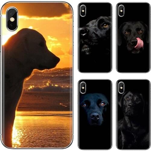 For Samsung Galaxy J1 J2 J3 J4 J5 J6 J7 J8 Plus 2018 Prime 2015 2016 2017 labrador retriever Transparent TPU Bag Case