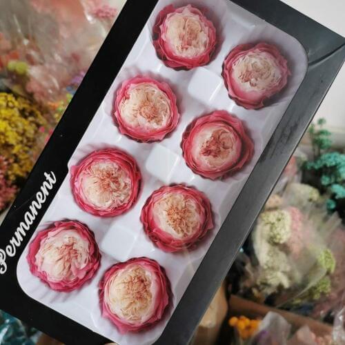 4-5CM/8pcs,Grade A Preserved Austin roses head,flowers Gift Eternal Rose for Wedding Party Decoration,Bridal headdress favor