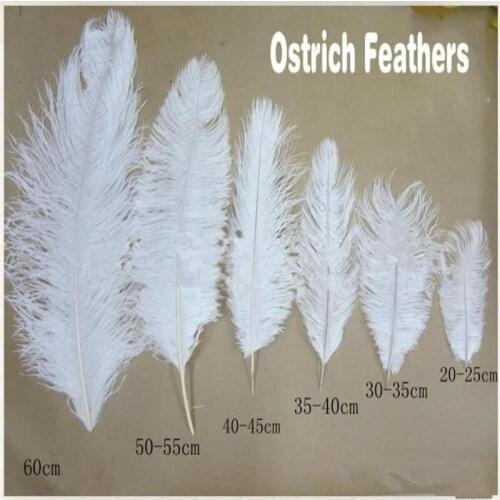 100 pcs Per lot 10-12 inch White Ostrich Feather Plume Craft Supplies Wedding Party Table Centerpieces Decoration Free Shipping