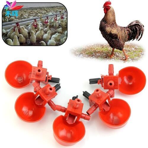 Feed Automatic Bird Coop Poultry Chicken Fowl Drinker Water Drinking Cups 5Pcs