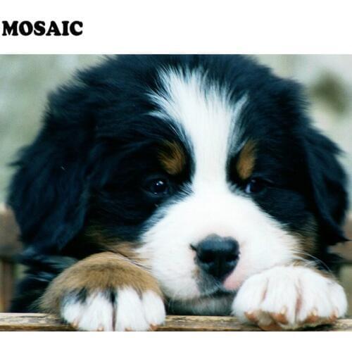 Diamond Embroidery Bernese Mountain Dog Cross Stitch Mosaic square Rhinestone Painting diy Diamond Painting Dogs Decor Home