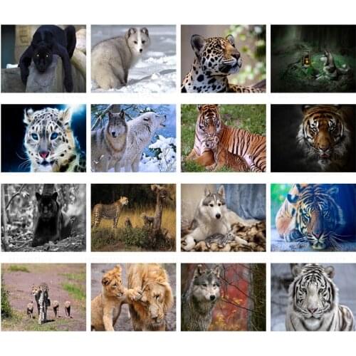 Leopard Wolf DIY Diamond Painting Wild Animal 5D Square Round Mosaic Sticker Diamond Embroidered Lion Wall Art Gift Home Decor
